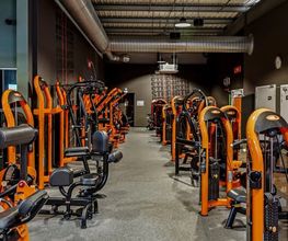 Basic-Fit 24/7 image 3