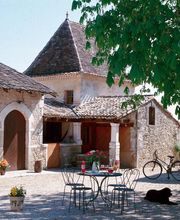 Vignobles Dubard image 5