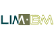LIM-BM