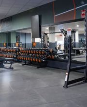 Basic-Fit imagen 2