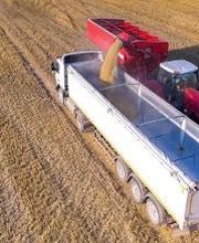 Transerrasol imagen 9