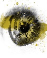 Wette und Schnell Bild 6