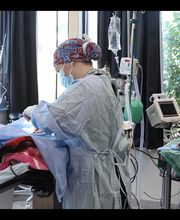 West Ridge Animal Hospital image 7