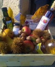 Hunziker Obstbau Bild 3