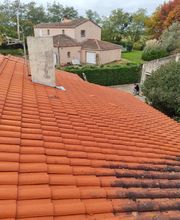 Montaner Georges Renove image 11