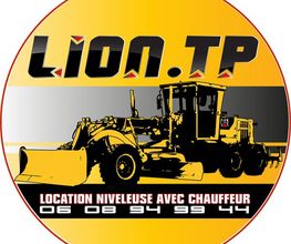 Lion TP image 1