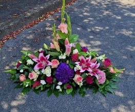 Hellebore image 3