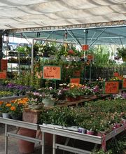HORNBACH Ingolstadt Bild 7