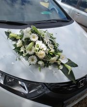 Il Etait Une Fleur image 7