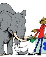 dr. Mazzi Michele Bild 9