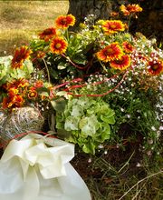 TrauerLichtung Bestattungen in Frauenhänden Inh. Claudia Bartholdi e.K. Bild 3