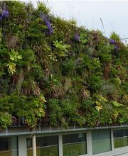 Vertical Flore image 2