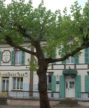 Les Aubépines image 1