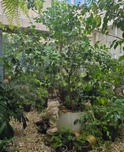 Escuela Andaluza de Arte Floral imagen 3