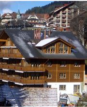 Frutiger Holzbau AG Bild 8