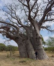 L'Œil Sauvage - Wildlife Experience Bild 3