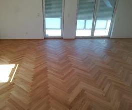 Umzüge S.F. Bild 3