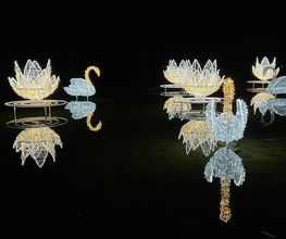 Magisch. Einzigartig. Und noch nie da gewesen. Die THÜRINGER GLITZERWELT ist das Event-Highlight dieses Winters. Auf einen Blick: