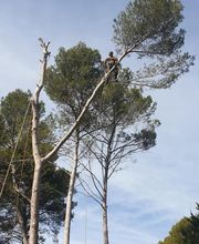 Sannier David Espaces Verts image 18