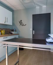 Clinique Vétérinaire de Chanzy image 2
