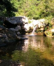 Camping Le Pastural image 3