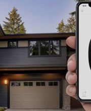 Delbal Alexis image 7