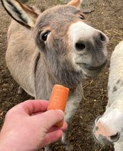 ONKEL URS GmbH Bild 3