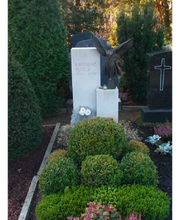 Knop Heinz-Dieter Bild 2