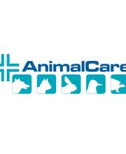 Clinica Veterinaria Animal Care Trento immagine 5