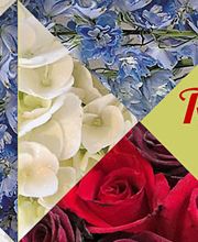 Edgewood Flowers image 17