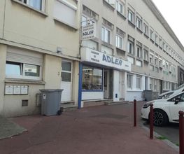 Adler image 3