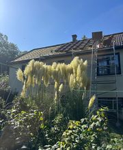 Artisan Pomart image 20