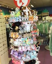 Orchestra QUEVERT image 6