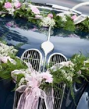 Couleur Nature image 18