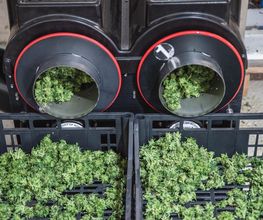 Production L'Herbe en Provence