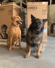 Air Specialties Heating & Cooling image 9