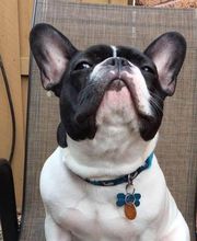 West Park Animal Hospital image 5