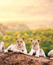 ENVIE D'EVASION - SAINT PAUL TROIS CHATEAUX image 15