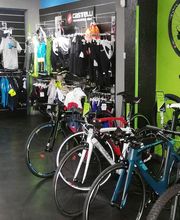 GOFIS BICI imagen 1