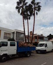 poda-arboles-tarragona.jpg