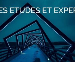 CARAIBES ETUDES ET EXPERTISES image 2