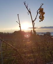 La Vaudoise des Quatre Vents Bild 6