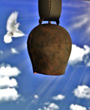 Thomas Rubin AG Bestattungsdienst Bild 5