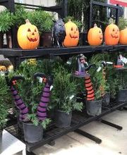 Tractor Supply Co. image 10