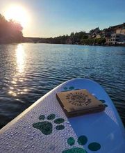 Daily Pizza Zug Cham Baar Bild 4