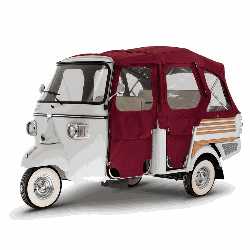 Ape Tour Palermo Luxury logo