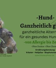 Kräuterpfoten Bild 5