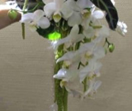 Blumen Jakob Bild 1