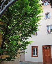 Rechtsanwälte Friedrich & Bierfelder Bild 2
