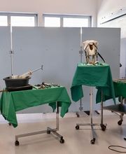Tierklinik Leimental Bild 1